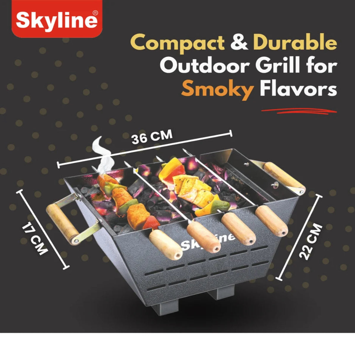 Skyline Charcoal Barbeque with 4 Skews - VTL-4500