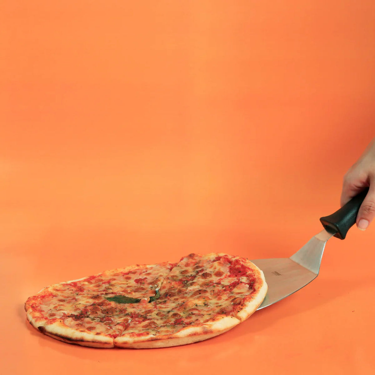 Rena Pizza Lifter (Spatula) Total Length 340 mm & Blade Length 180 mm | Its Tool for Lifting Pizzas, Multiple Cookies, Pancakes, Cakes, Etc - 11046